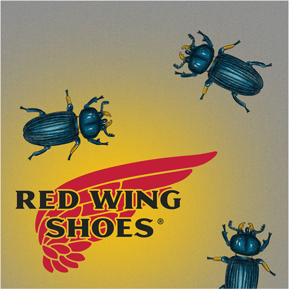  Red Wing | Heritage  Beetle Campaign - Creative project by Anas Mohamed